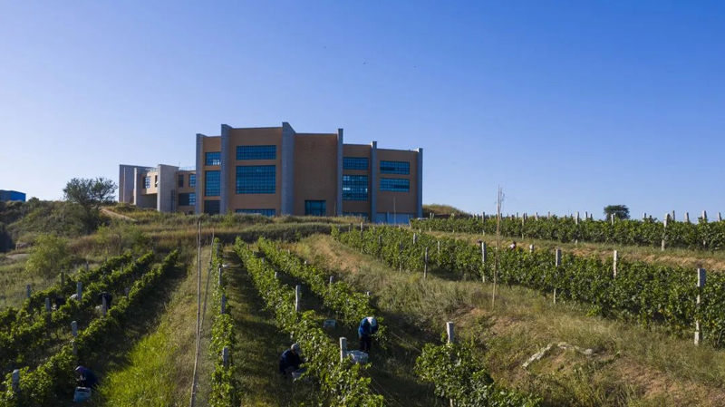 图片1.jpg 图片1.jpg